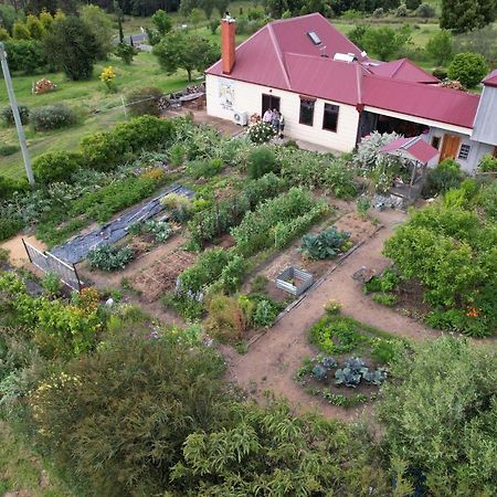 Cherry Top Farmstay - Boutique Eco Village Lilydale Luaran gambar