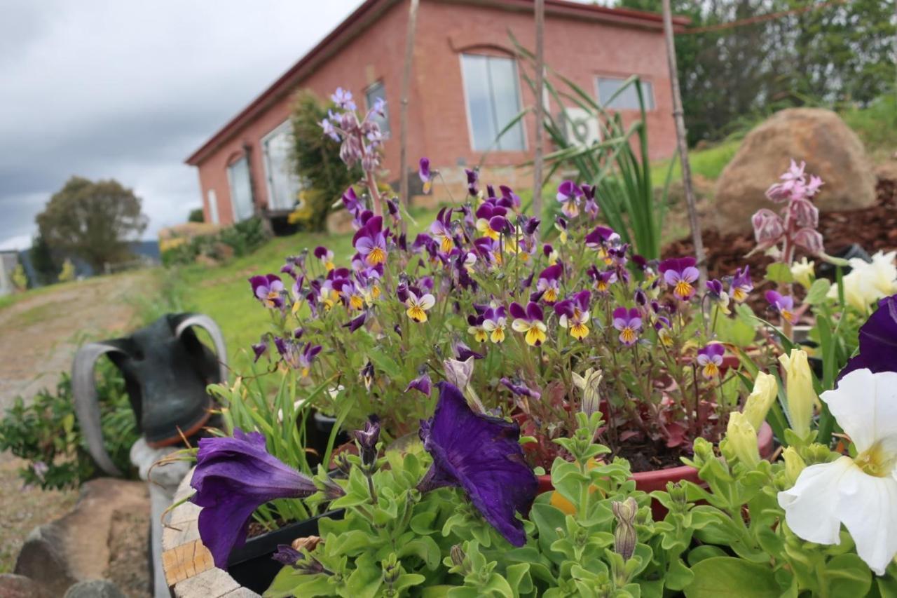 Cherry Top Farmstay - Boutique Eco Village Lilydale Luaran gambar