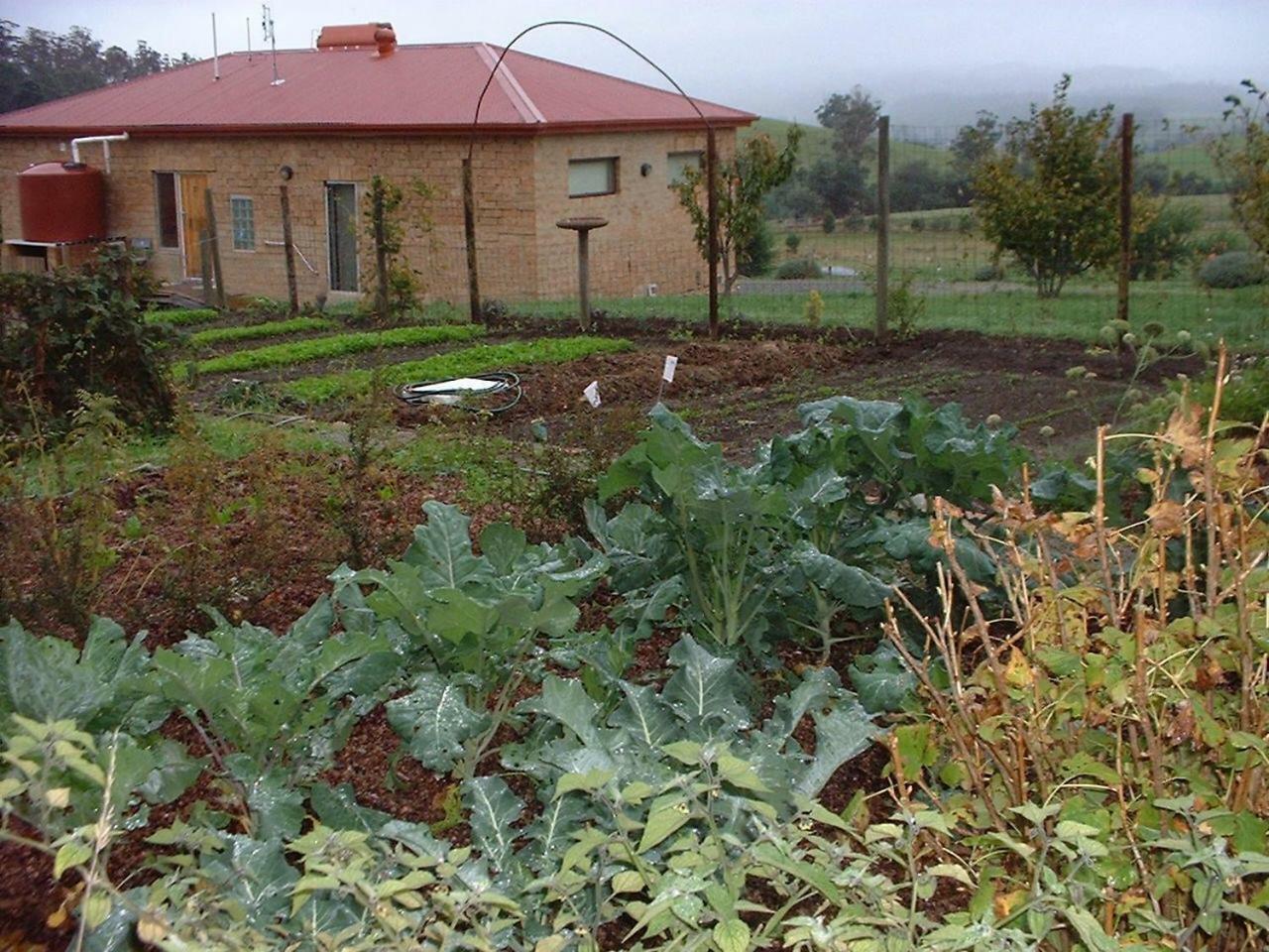 Cherry Top Farmstay - Boutique Eco Village Lilydale Luaran gambar