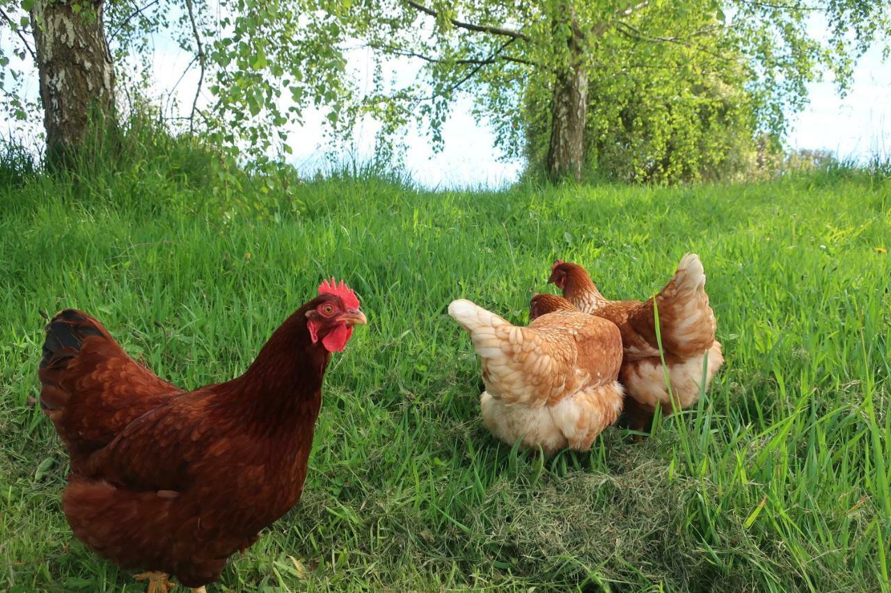 Cherry Top Farmstay - Boutique Eco Village Lilydale Luaran gambar