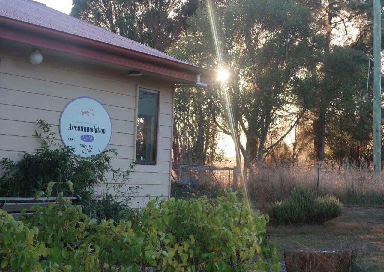 Cherry Top Farmstay - Boutique Eco Village Lilydale Luaran gambar